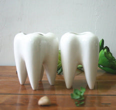 Tooth shaped tabletop ceramic flowerpot - Limited time Finds