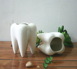 Tooth shaped tabletop ceramic flowerpot - Limited time Finds