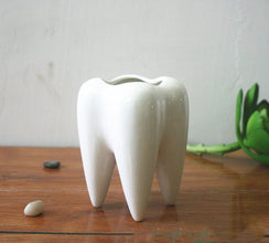 Tooth shaped tabletop ceramic flowerpot - Limited time Finds