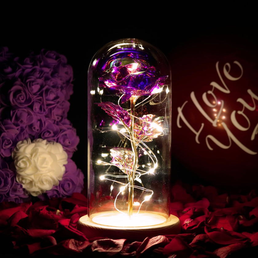 Galaxy Rose Eternal Lamp - Limited time Finds