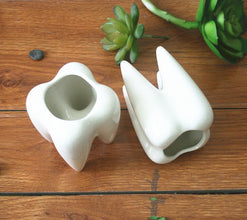 Tooth shaped tabletop ceramic flowerpot - Limited time Finds