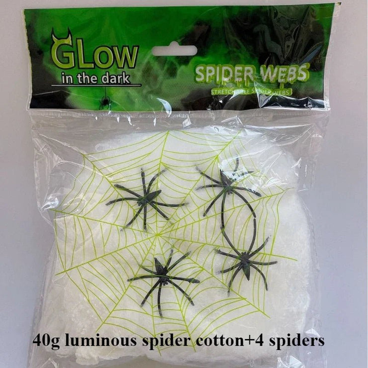 Luminous Spider Web & Fake Spiders - Limited time Finds