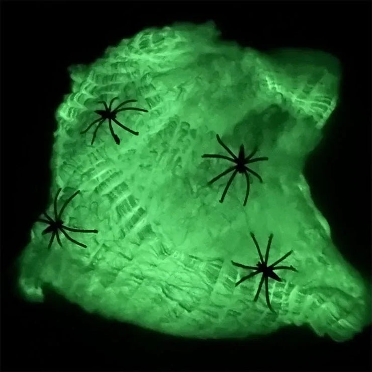 Luminous Spider Web & Fake Spiders - Limited time Finds