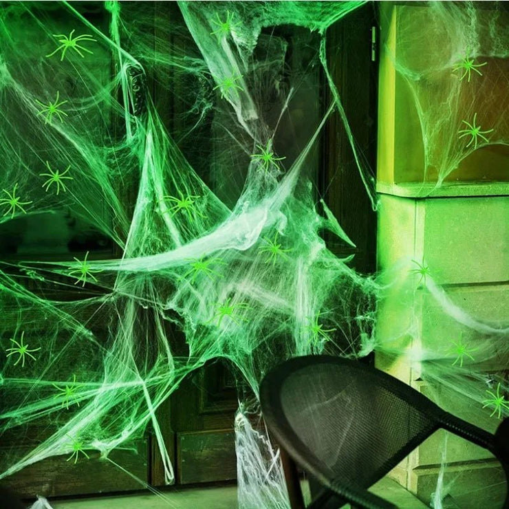 Luminous Spider Web & Fake Spiders - Limited time Finds