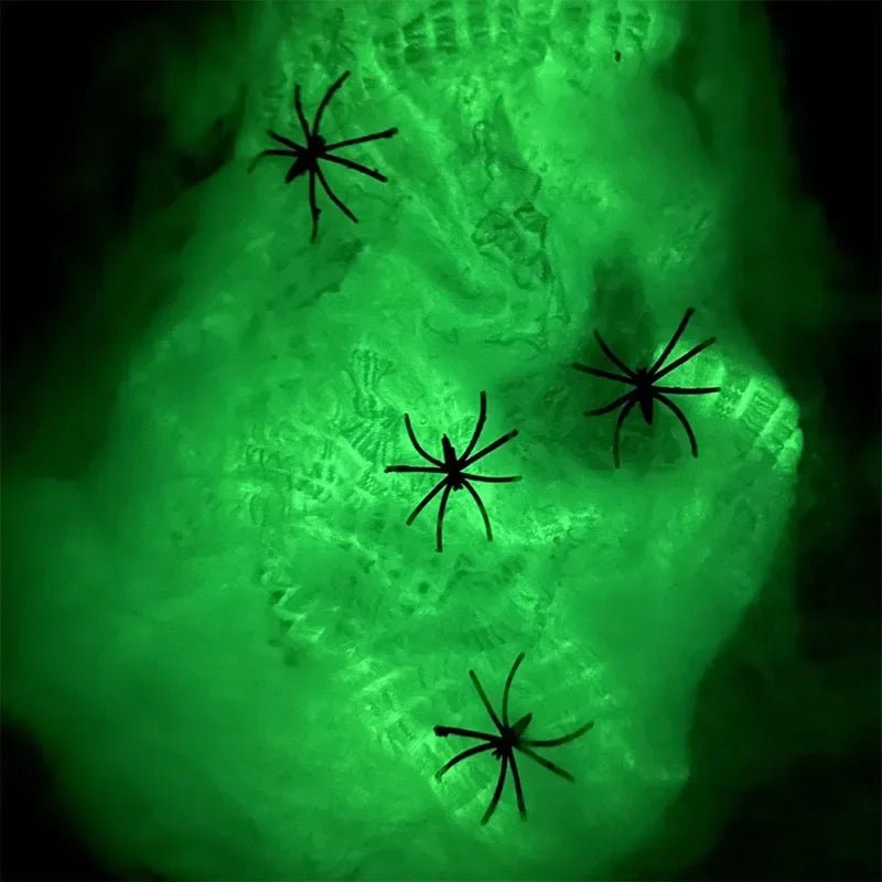 Luminous Spider Web & Fake Spiders - Limited time Finds